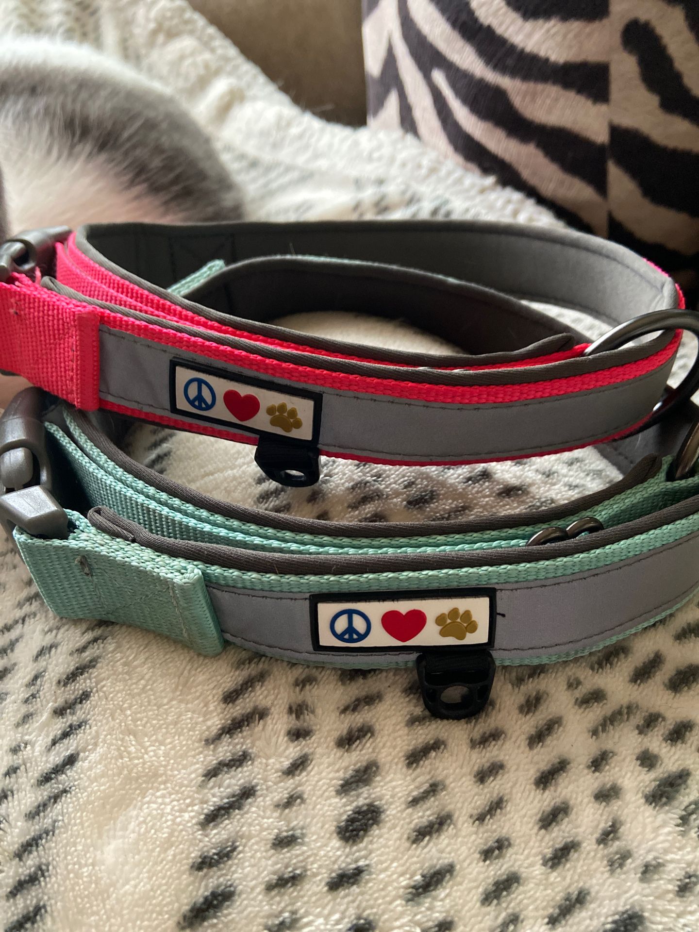 Dog Collars