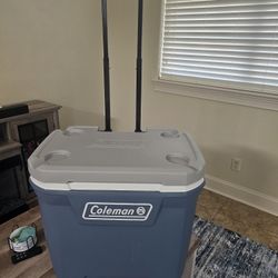 Brand New Cooler Used Once 