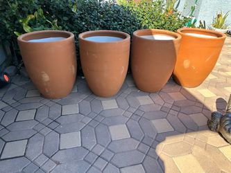 Clay Pot