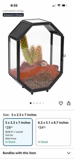 Octagonal Glass Terrarium with Black Metal Frame