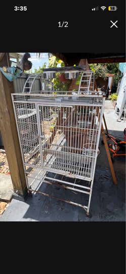 Bird Cage