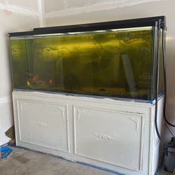 250 Gallons Fish Tank