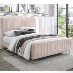 Blush Velvet Upholstered Bed Frame with Gold Legs 