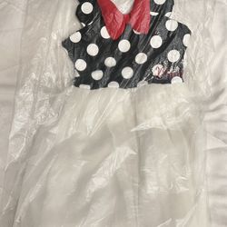 Minnie Mouse  Dress With  Tull Skirt 