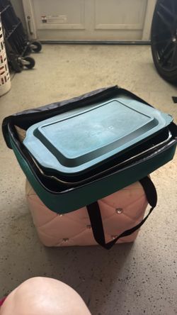 Portables Insulated carry bag The way to go travel carrier With Dish