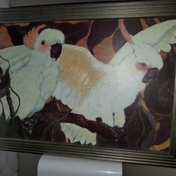 Cockatoo Painting
