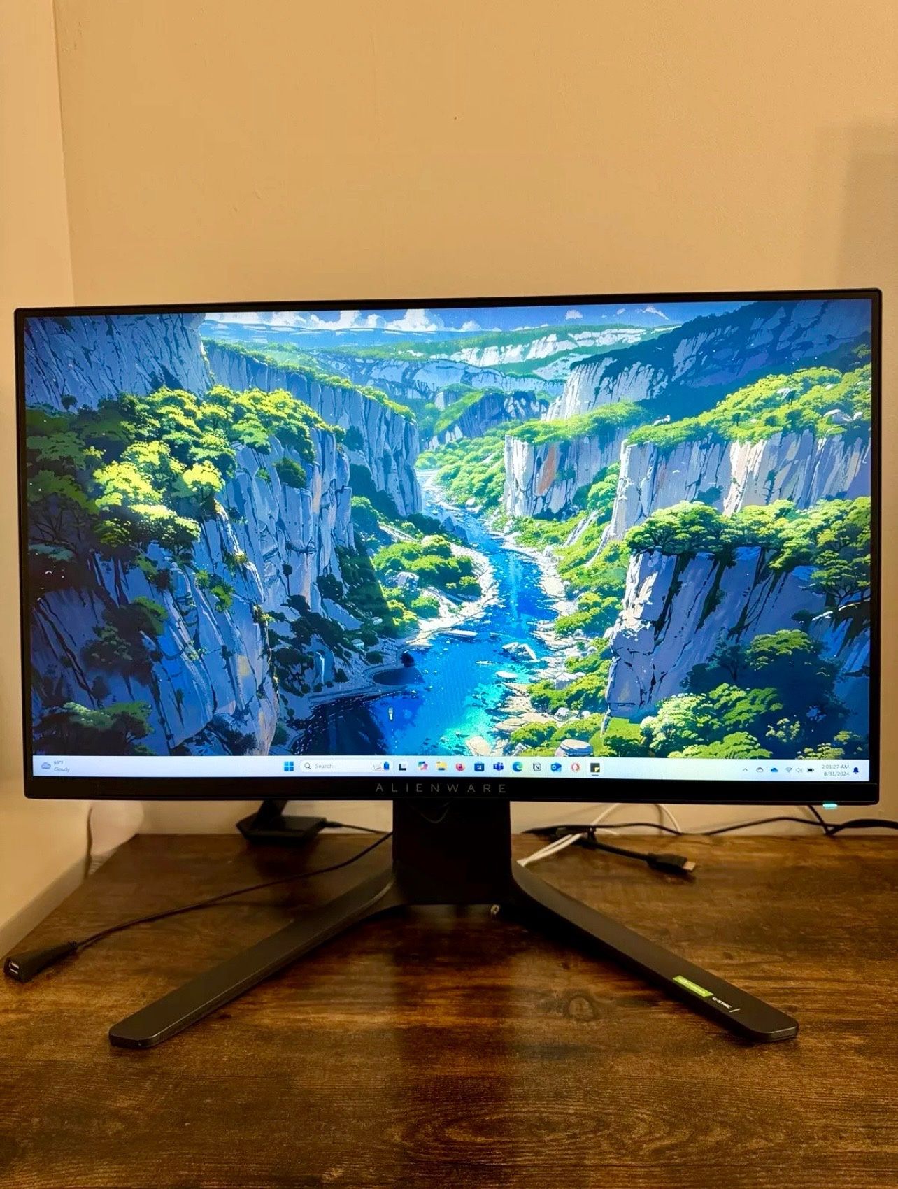 AlienWare 25β Gaming Monitor 240Hz π½πΎ