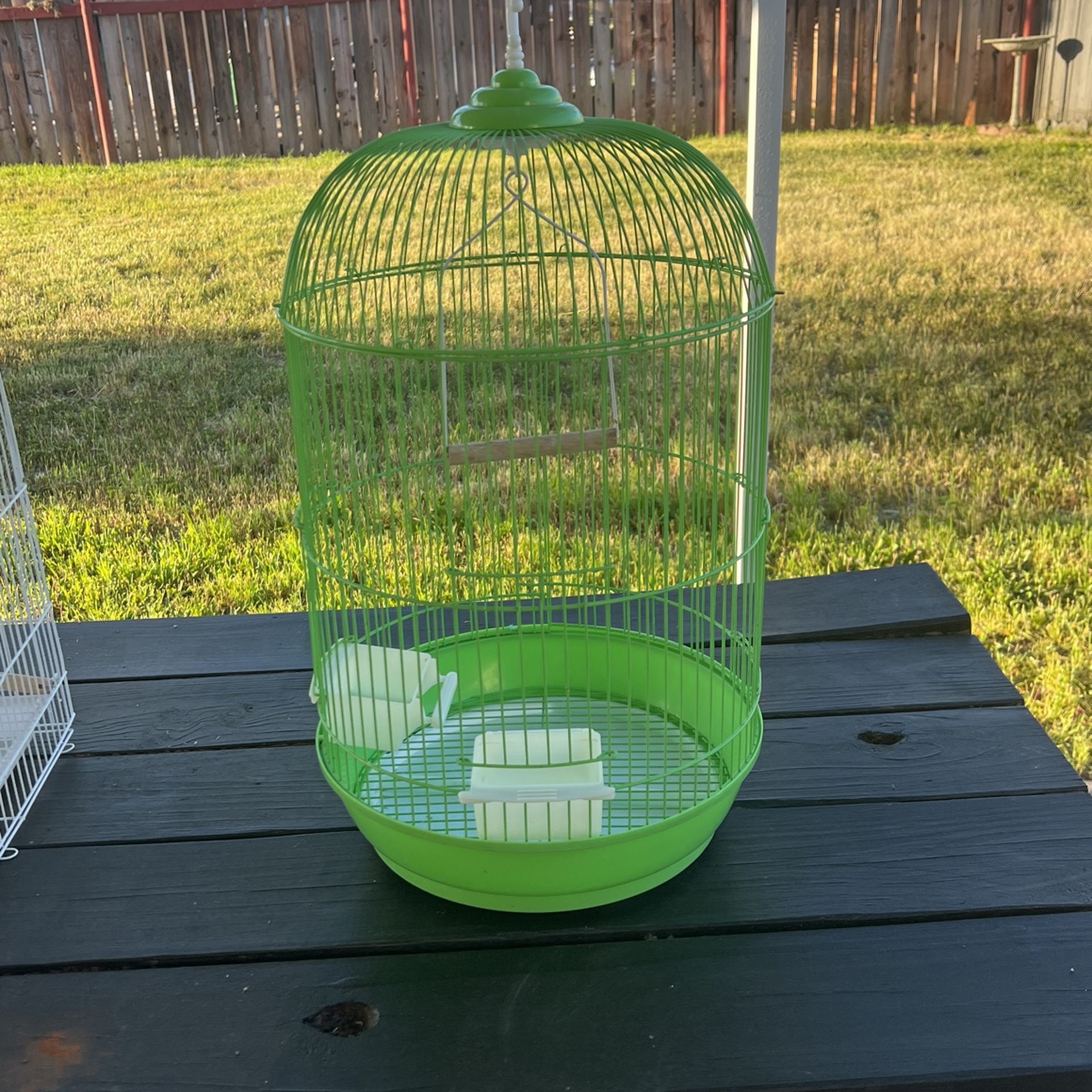 Love Birds Cage
