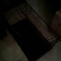 Dog Cage 