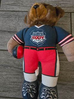 Vintage superbowl xxxlv 2000