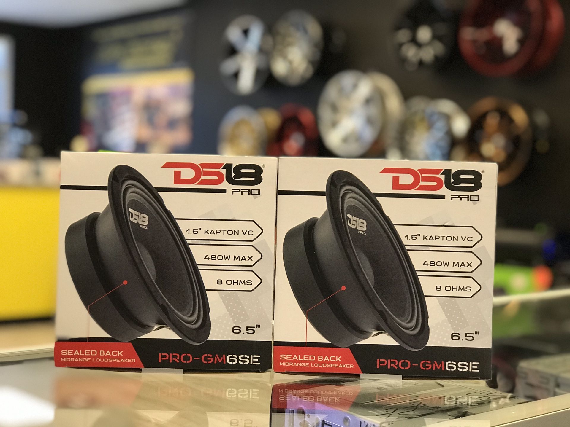 DS18 8” Loudspeakers