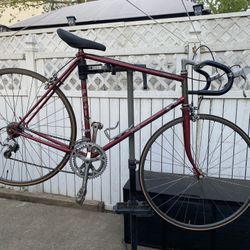 Fuji Sagres Road Bike 