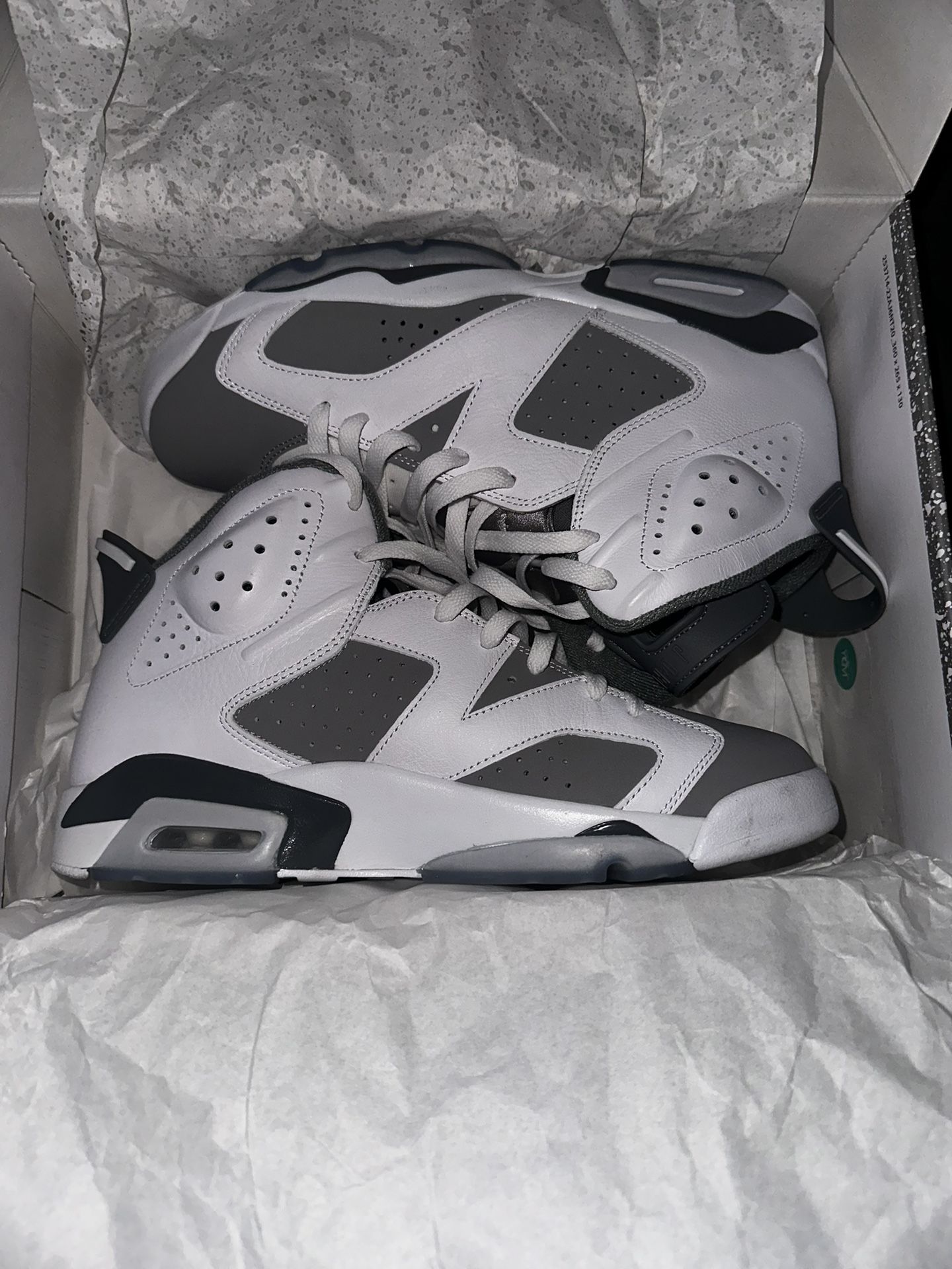 Cool Grey Jordan 6s Size 11 