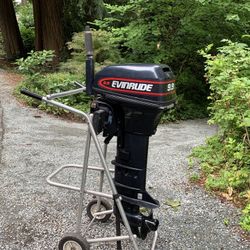 Evinrude 9.9 