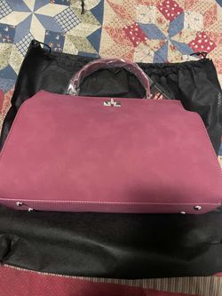 Vanessa Williams  purse