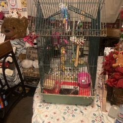 Bird  And  The Bird Cage And Bird Good And Everything 