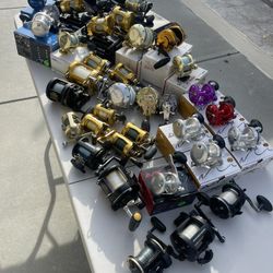Bunch Of Fishing Reels, AVET, Penn Torque, Penn International, Shimano, Diawa, Tiburon