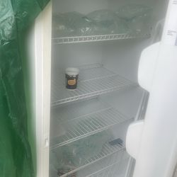 Stand up freezer