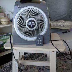 Vornado Whole Room Heater & Fan (With Remote)