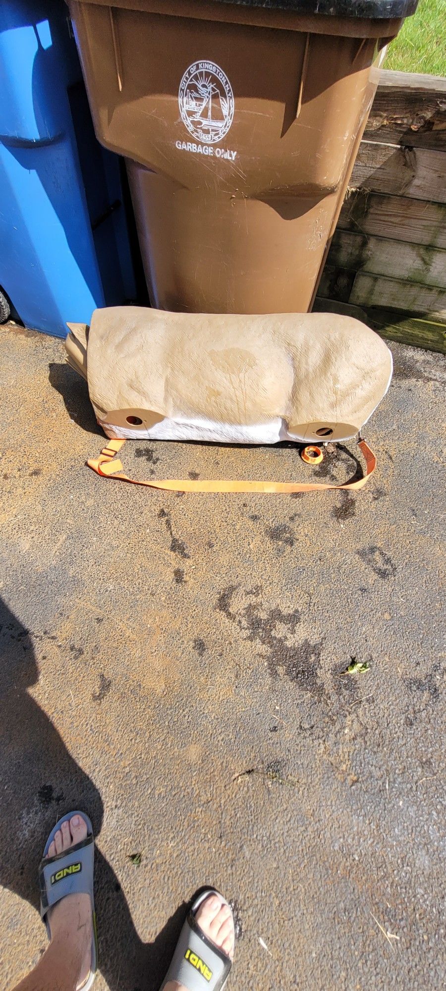 Buck Decoy
