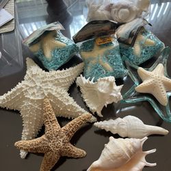 Beach decor, various shells, starfish soap with starfish soap holder