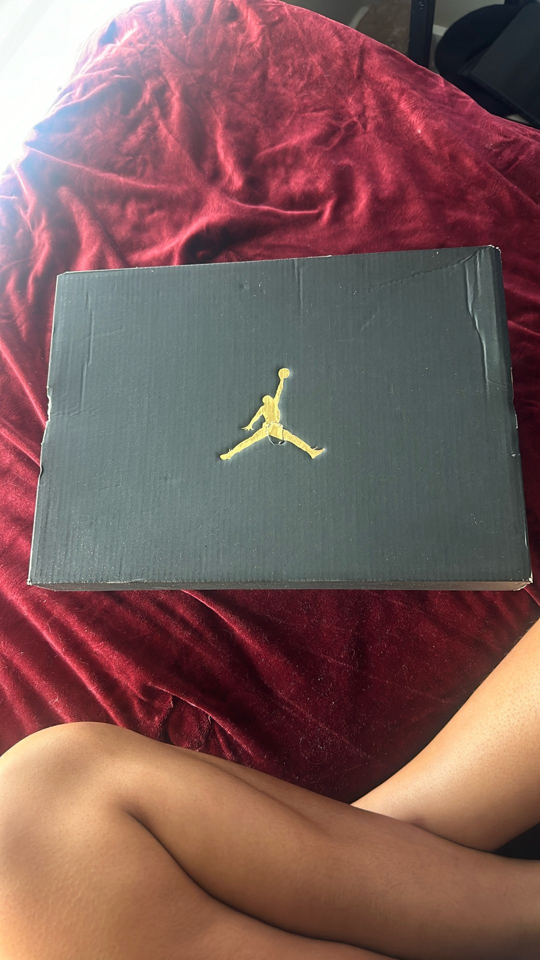 Air Jordan 12s
