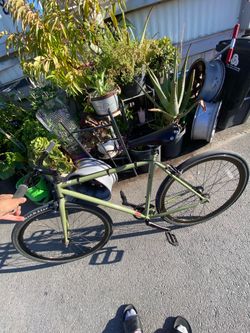 Fuji khaki green fixie