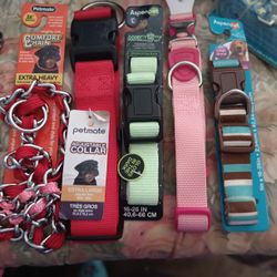 Collares Para Perros