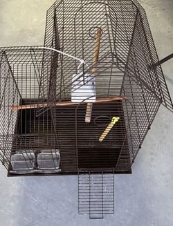 Bird Cage
