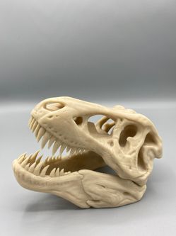 T-Rex Skull 3D Printed High Quality - Tyrannosaurus Rex Replica Cretaceous