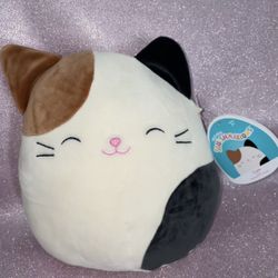 Can Squishmallow 