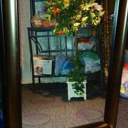 Brand New Mirror 