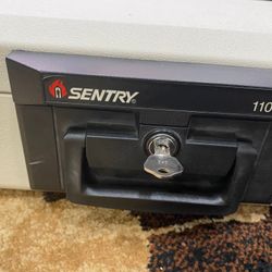Sentry Safe Fireproof-Waterproof