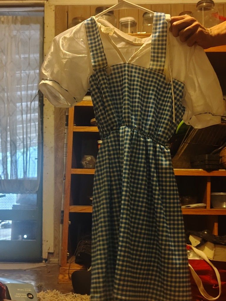 Wizard of Oz (Dorothy Replica Dress )