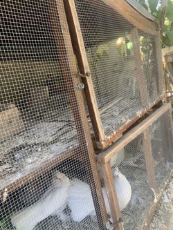 bird cage for doves white n brown