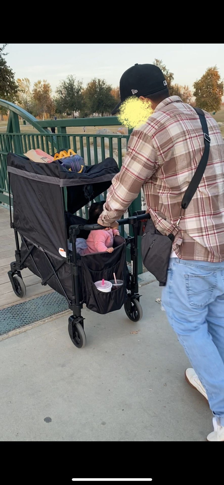 stroller wagon