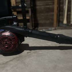 Craftsman leaf blower (REQUIRES TO CLEAN CARBORATOR)