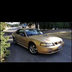 2000 Ford Mustang