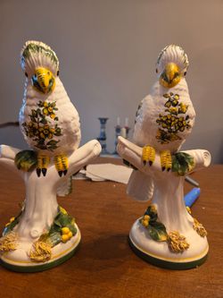 Parrot matching Pair