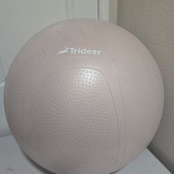 Trader Exercise Ball $5