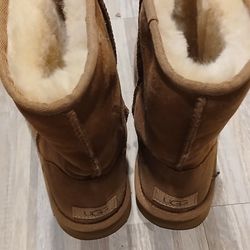 Size 11 Uggs