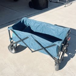 Beach Wagon $65