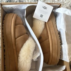 Uggs 