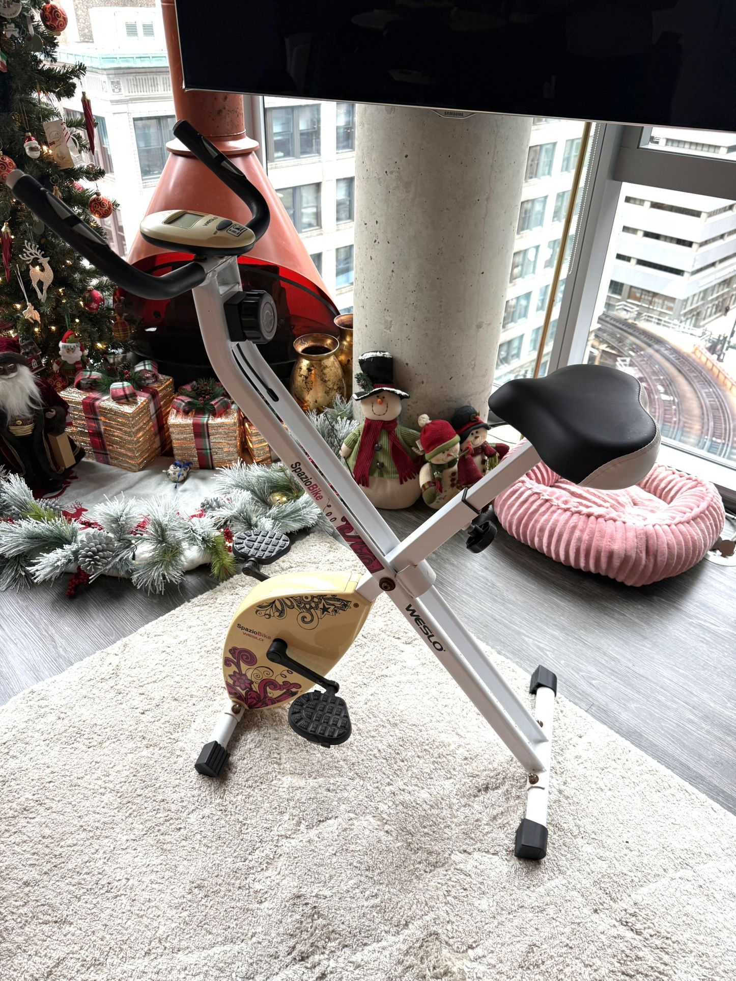 Exercise Bike (Spazio)