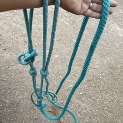 Horse Halter And Lead Line
