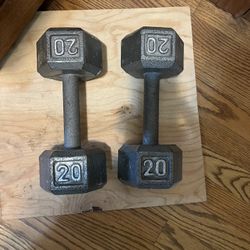 Two 20 Pound Weights