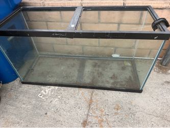 100 gallon Fish Tank