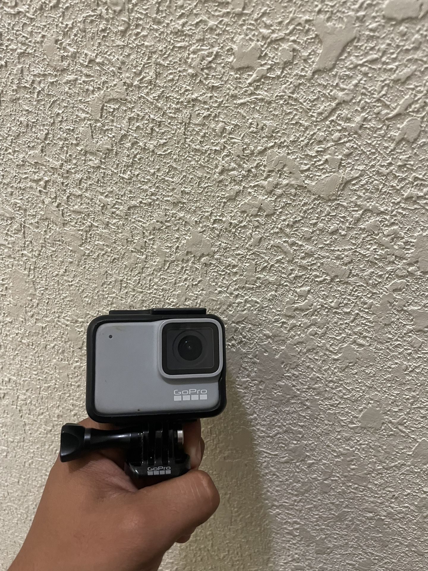 Go Pro