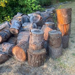 Fur  logs for free.  Come and get them. Seasoned, ready to burn