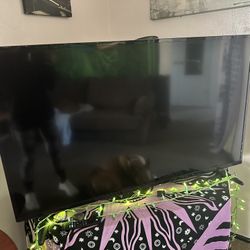 Insignia 50 Inch Tv 